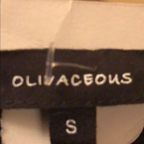 Ultra Suede Fringe Skirt - Picture 6 of 7